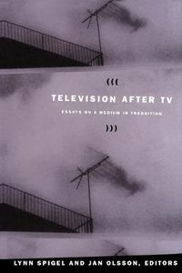 Cover image for Television after TV: Essays on a Medium in Transition