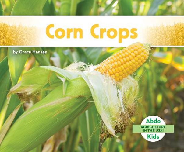 Cover image for Corn Crops