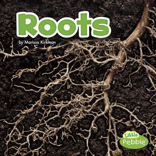Cover image for Roots