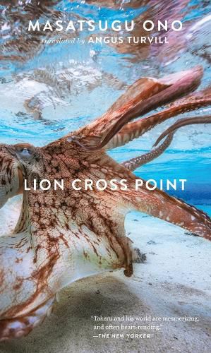 Cover image for Lion Cross Point