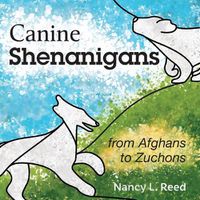 Cover image for Canine Shenanigans: from Afghans to Zuchons