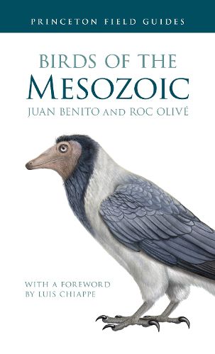 Cover image for Birds of the Mesozoic