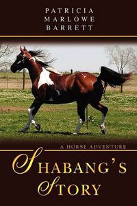 Cover image for Shabang's Story: A Horse Adventure