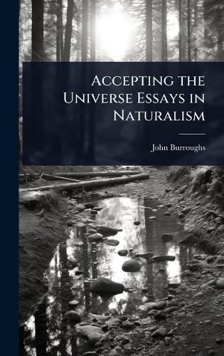 Cover image for Accepting the Universe Essays in Naturalism