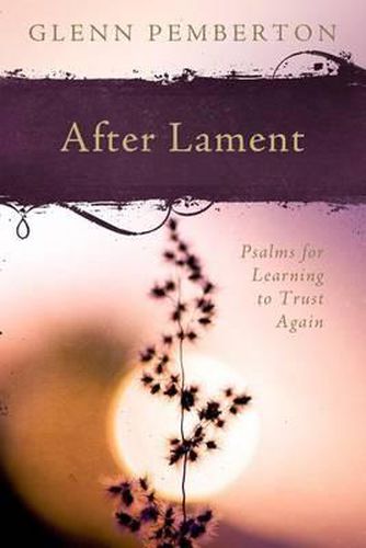 Cover image for After Lament: Psalms for Learning to Trust Again