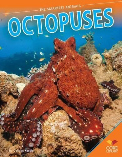 Cover image for Octopuses