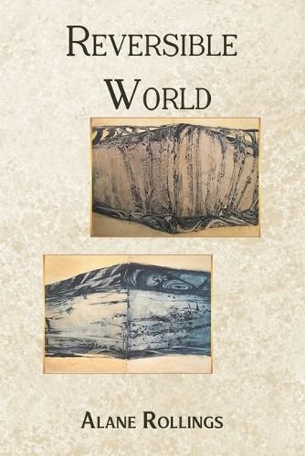 Cover image for Reversible World