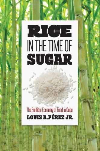 Cover image for Rice in the Time of Sugar: The Political Economy of Food in Cuba