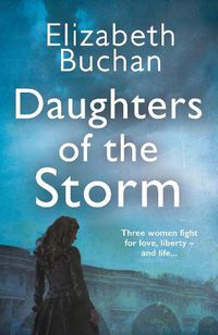 Cover image for Daughters of the Storm