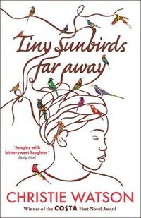 Cover image for Tiny Sunbirds Far Away: Winner of the Costa First Novel Award, from the author of The Language of Kindness