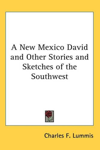 Cover image for A New Mexico David and Other Stories and Sketches of the Southwest