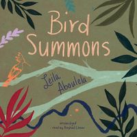 Cover image for Bird Summons