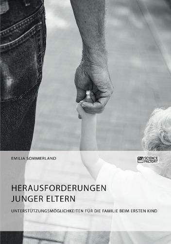 Cover image for Herausforderungen junger Eltern. Unterstutzungsmoeglichkeiten fur die Familie beim ersten Kind