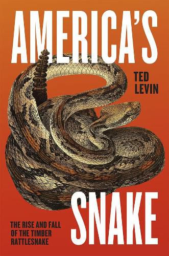 Cover image for America's Snake: The Rise and Fall of the Timber Rattlesnake