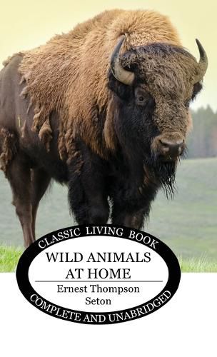 Cover image for Wild Animals at Home