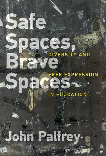 Cover image for Safe Spaces, Brave Spaces: Diversity and Free Expression in Education