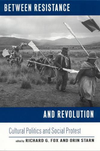 Cover image for Between Resistance and Revolution: Cultural Politics and Social Protest