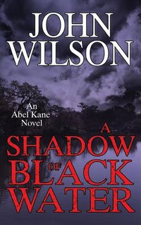 Cover image for A Shadow of Black Water
