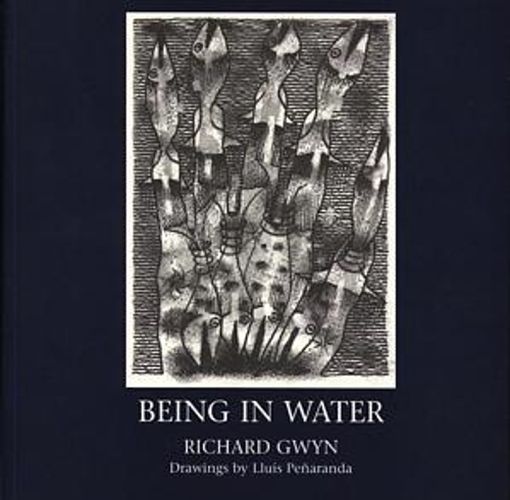 Cover image for Being in Water