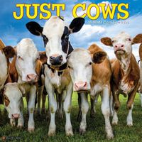 Cover image for Just Cows 2025 12 X 12 Wall Calendar