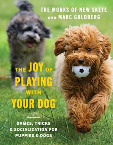 Cover image for The Joy of Playing with Your Dog