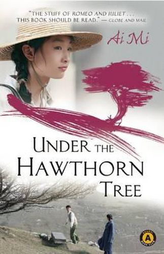 Cover image for Under the Hawthorn Tree