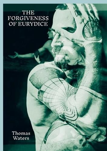 Cover image for The Forgiveness of Eurydice