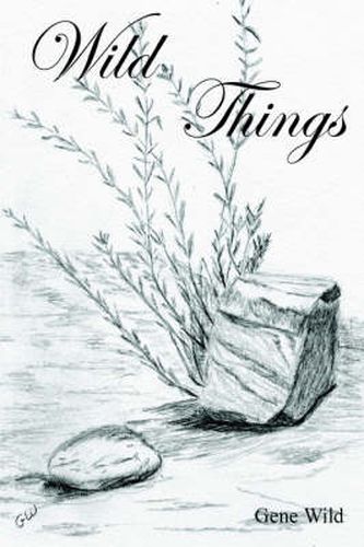 Cover image for Wild Things