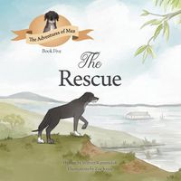 Cover image for The Rescue