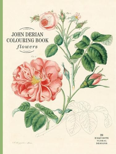 Cover image for John Derian Colouring Book: Flowers