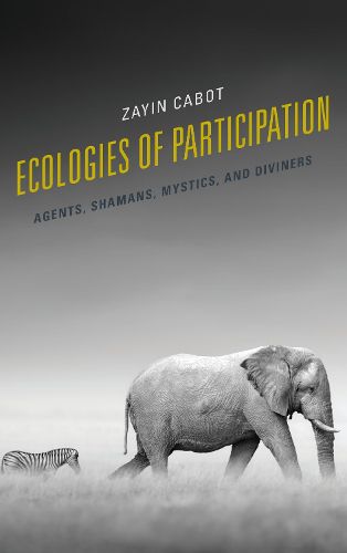 Cover image for Ecologies of Participation: Agents, Shamans, Mystics, and Diviners