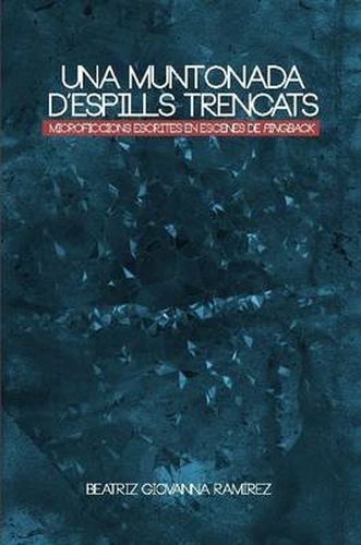 Cover image for Una Muntonada D'espills Trencats