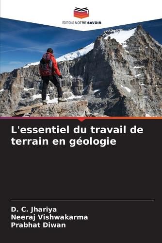 Cover image for L'essentiel du travail de terrain en geologie