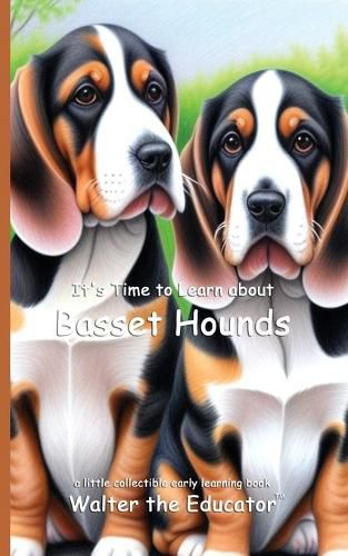 Cover image for It's Time to Learn about Basset Hounds