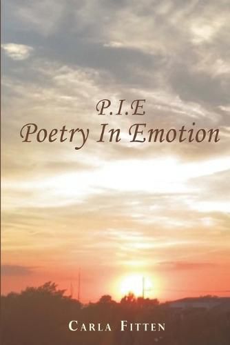 Cover image for P.I.E