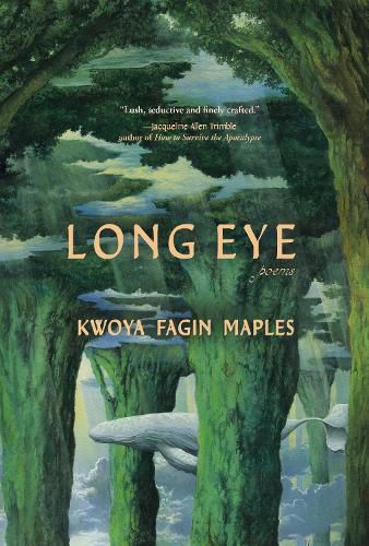 Cover image for Long Eye