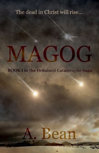 Cover image for Magog