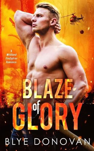 Cover image for Blaze of Glory