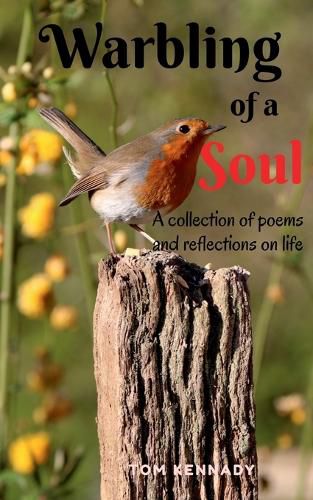 Cover image for Warbling of a Soul