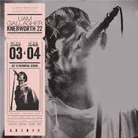 Cover image for Knebworth 22