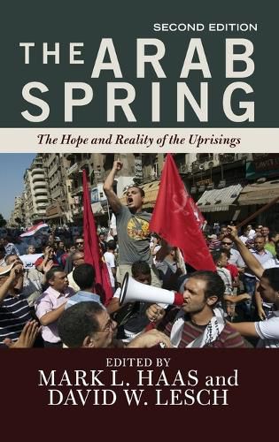 Cover image for The Arab Spring: The Hope and Reality of the Uprisings