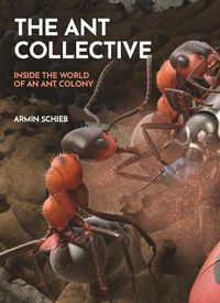 Cover image for The Ant Collective