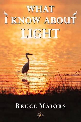 Cover image for What I Know About Light