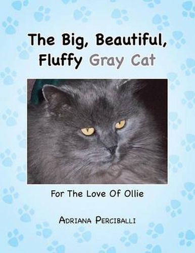 The Big, Beautiful, Fluffy Gray Cat: For The Love Of Ollie