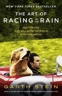 Cover image for The Art of Racing in the Rain