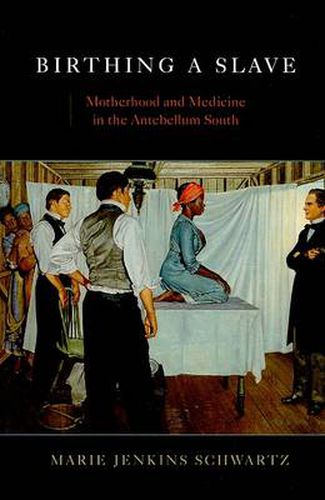 Cover image for Birthing a Slave: Motherhood and Medicine in the Antebellum South