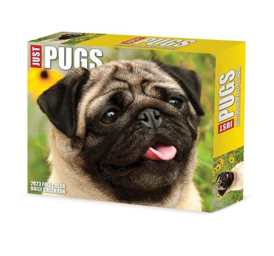 Cover image for Pugs 2023 Box Calendar