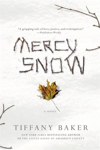 Cover image for Mercy Snow