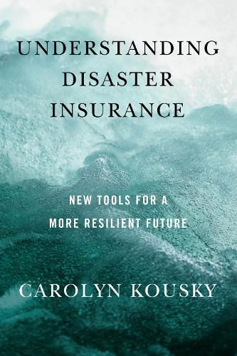 Cover image for Understanding Disaster Insurance: New Tools for a More Resilient Future