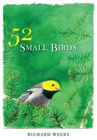 Cover image for 52 Small Birds